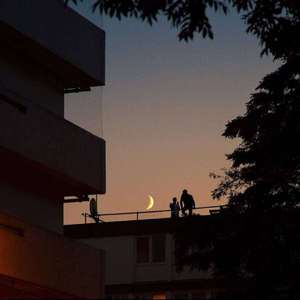 张柔大狼狗 原文
